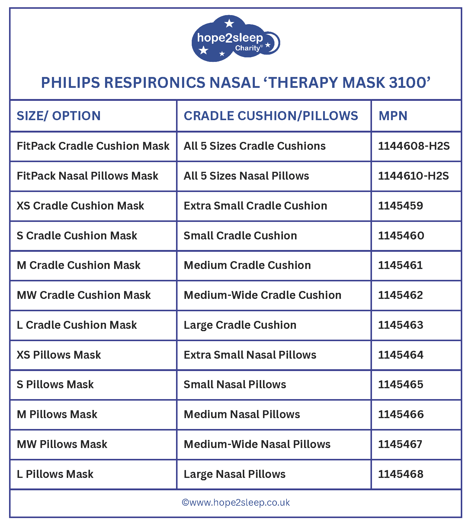 3100 Therapy Mask H2S Options